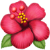 🌺 hibiscus display on Apple