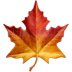 🍁 maple leaf display on Apple