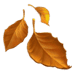 🍂 fallen leaf display on Apple