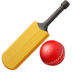 🏏 cricket game display on Apple