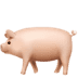 🐖 pig display on Apple