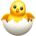 🐣 hatching chick display on Apple