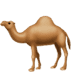 🐪 camel display on Apple