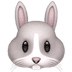 🐰 rabbit face display on Apple