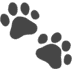 🐾 paw prints display on Apple