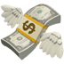 💸 money with wings display on Apple