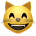 😸 grinning cat with smiling eyes display on Apple