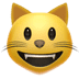 😺 grinning cat display on Apple