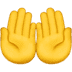 🤲 palms up together display on Apple