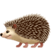 🦔 hedgehog display on Apple