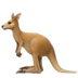 🦘 kangaroo display on Apple