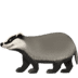 🦡 badger display on Apple