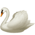 🦢 swan display on Apple