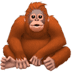 🦧 orangutan display on Apple