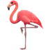 🦩 flamingo display on Apple