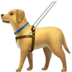 🦮 guide dog display on Apple