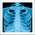 🩻 x-ray display on Apple