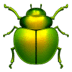 🪲 beetle display on Apple