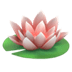 🪷 lotus display on Apple