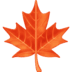 🍁 maple leaf display on Facebook