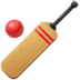 🏏 cricket game display on Facebook