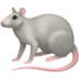 🐀 rat display on Facebook