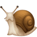 🐌 snail display on Facebook