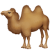 🐫 two-hump camel display on Facebook