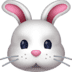 🐰 rabbit face display on Facebook