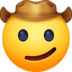 🤠 cowboy hat face display on Facebook