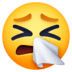 🤧 sneezing face display on Facebook