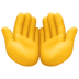 🤲 palms up together display on Facebook