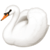 🦢 swan display on Facebook