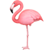 🦩 flamingo display on Facebook