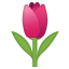 🌷 tulip display on Github