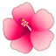 🌺 hibiscus display on Github