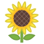 🌻 sunflower display on Github