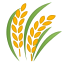 🌾 sheaf of rice display on Github