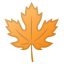 🍁 maple leaf display on Github