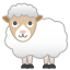 🐑 ewe display on Github