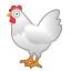 🐔 chicken display on Github