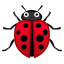 🐞 lady beetle display on Github