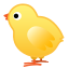 🐤 baby chick display on Github