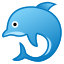 🐬 dolphin display on Github