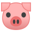 🐷 pig face display on Github