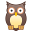 🦉 owl display on Github