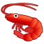 🦐 shrimp display on Github