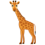 🦒 giraffe display on Github