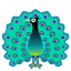 🦚 peacock display on Github