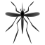 🦟 mosquito display on Github